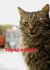 Смотреть Город кошек онлайн