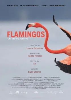 Смотреть Уроки математики онлайн